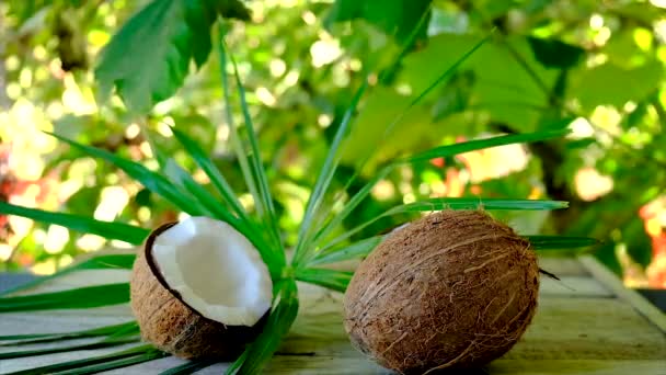 Olio di cocco in bottiglia per trattamenti termali. Focus selettivo. — Video Stock