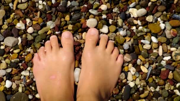 Enfants pieds sur la plage sur les cailloux. Concentration sélective. — Video