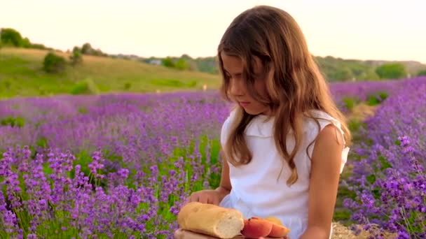 라벤더가 있는 들판의 아이. 선택적 초점. — 비디오