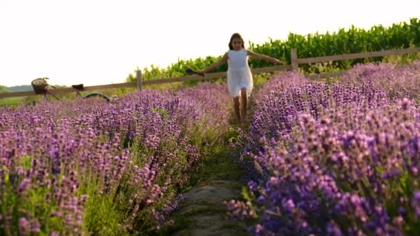 Un bambino in un campo di lavanda. Focus selettivo. — Video Stock