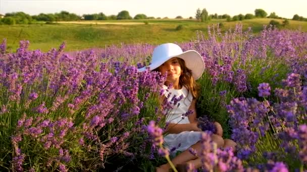 Een kind in een lavendelveld. Selectieve focus. — Stockvideo