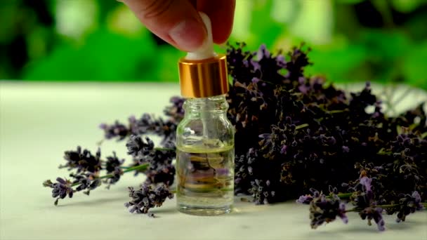 Aceite esencial de lavanda en una botella. Enfoque selectivo. — Vídeo de stock