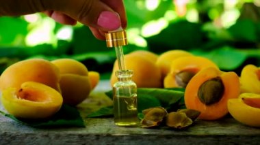 Kayısı çekirdeği yağı şişede. Seçici odak.