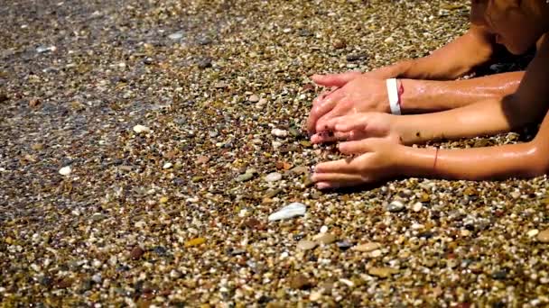 Πατέρας και κόρη μαζεύουν πέτρες στη θάλασσα. Επιλεκτική εστίαση. — Αρχείο Βίντεο