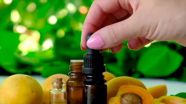 Aprikot kernel minyak esensial dalam botol. Fokus selektif. — Stok Video
