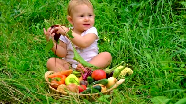 Barn med grönsaker i händerna på skörden. Selektiv inriktning. — Stockvideo