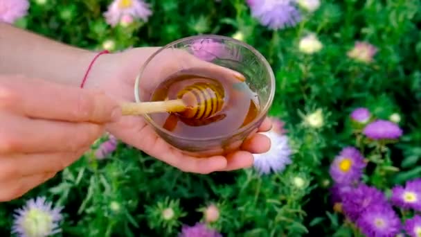 Včelař drží med v zahradě. Selektivní zaměření. — Stock video