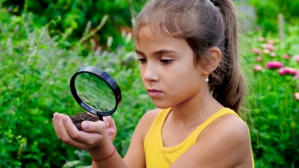 Dziecko bada glebę szkłem powiększającym. Skupienie selektywne. — Wideo stockowe