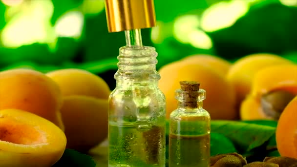 Esenciální olej meruňkového jádra v lahvičce. Selektivní zaměření. — Stock video