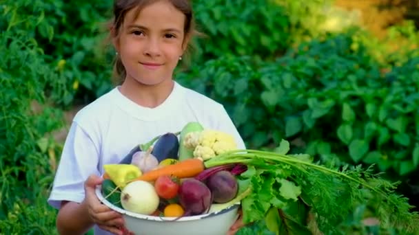 Een kind in de tuin met een oogst van groenten. Selectieve focus. — Stockvideo