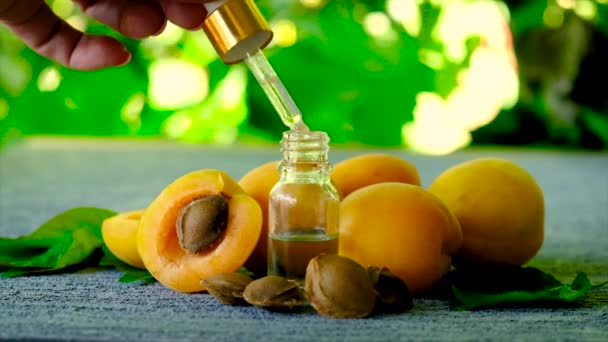 Ätherisches Öl aus dem Aprikosenkern in einer Flasche. Selektiver Fokus. — Stockvideo