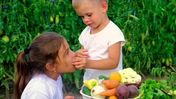 Uma criança no jardim com uma colheita de legumes. Foco seletivo. — Vídeo de Stock