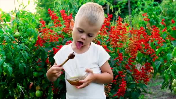 L'enfant mange du miel en été. Concentration sélective. — Video