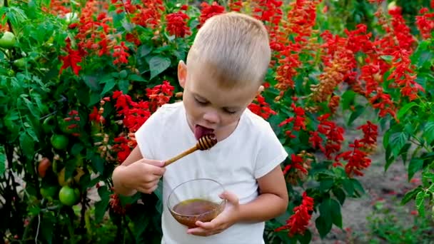 Ребенок ест мёд летом. Селективный фокус. — стоковое видео