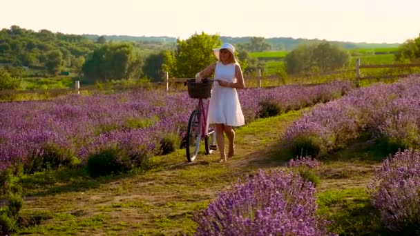 Woman in lavender field on a bike. Selective focus. — Video Stock