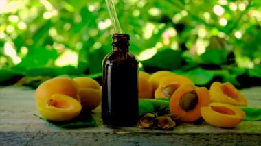 Kayısı çekirdeği yağı şişede. Seçici odak.