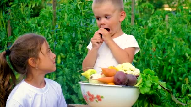 Een kind in de tuin met een oogst van groenten. Selectieve focus. — Stockvideo