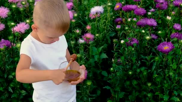 A gyerek nyáron mézet eszik. Szelektív fókusz. — Stock videók