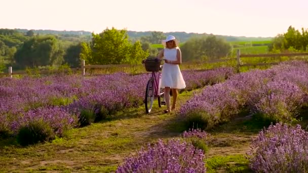 Woman in lavender field on a bike. Selective focus. — Video Stock