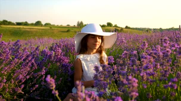 Uma criança num campo de lavanda. Foco seletivo. — Vídeo de Stock