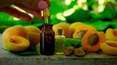 Kayısı çekirdeği yağı şişede. Seçici odak.