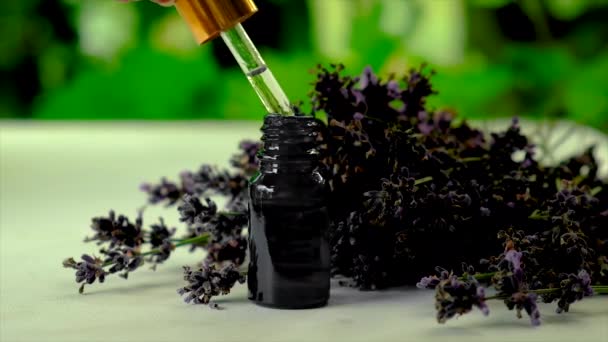 Lavender minyak esensial dalam botol. Fokus selektif. — Stok Video