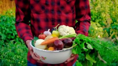 A man farmer with a harvest of vegetables in his hands. Selective focus.