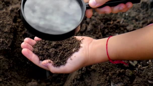 Anak itu memeriksa tanah dengan kaca pembesar. Fokus selektif. — Stok Video