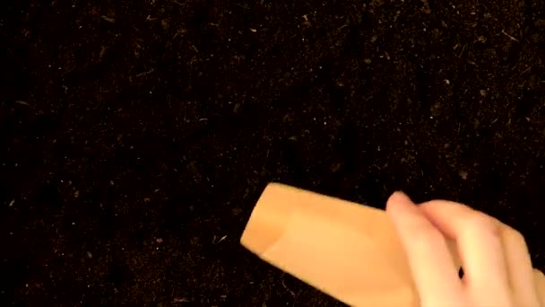 Vetési időszakban a talajban lévő magvak. Szelektív fókusz. — Stock videók