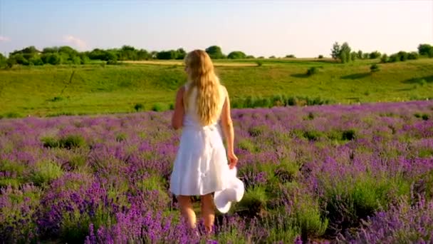 Mujer en el campo de lavanda en verano. Enfoque selectivo. — Vídeo de stock