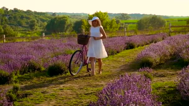 Mujer en el campo de lavanda en bicicleta. Enfoque selectivo. — Vídeos de Stock