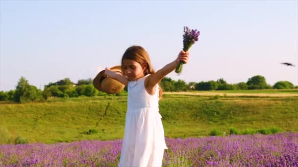 Niña en el campo de flores lavanda. Enfoque selectivo. — Vídeo de stock