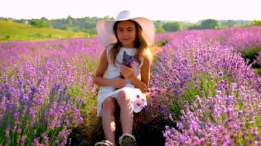 Çiçekli lavanta tarlasında bir kız çocuğu. Seçici odak.