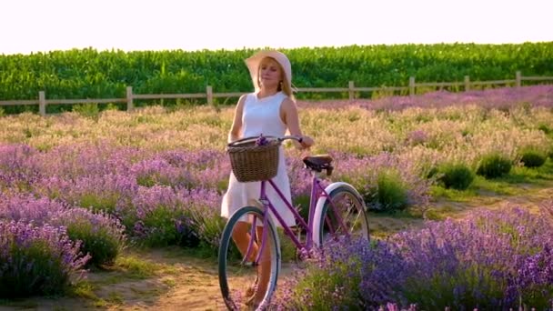 Kobieta na polu lawendowym na rowerze. Skupienie selektywne. — Wideo stockowe