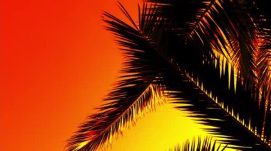 Avuç içi yaprakları gökyüzüne karşı. Seçici odak.