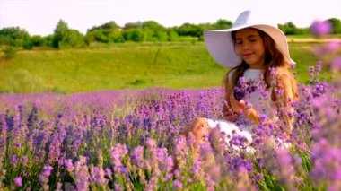 Çiçekli lavanta tarlasında bir kız çocuğu. Seçici odak.