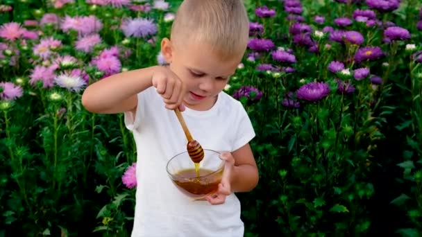 The child eats honey in the summer. Selective focus. — Vídeo de Stock