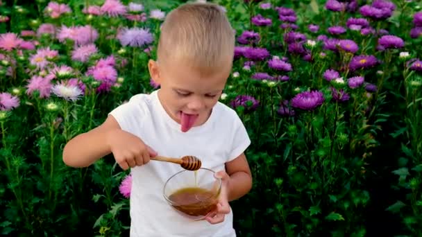 El niño come miel en el verano. Enfoque selectivo. — Vídeo de stock