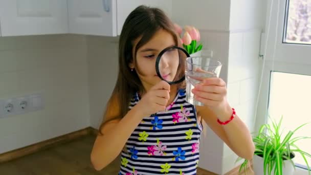 Das Kind untersucht das Wasser mit einer Lupe. Selektiver Fokus. — Stockvideo
