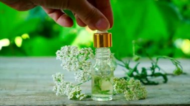 Yarrow küçük bir şişe içinde özüt. Seçici odak.