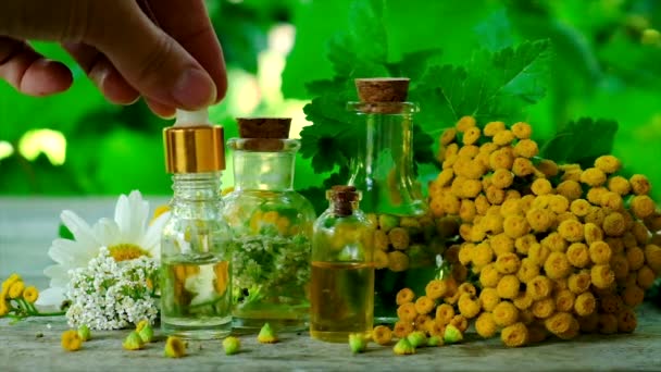 Ekstrakt ziołowy w małej butelce. Skupienie selektywne. — Wideo stockowe