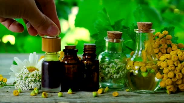 Herbal extract in a small bottle. Selective focus. — Stock Video