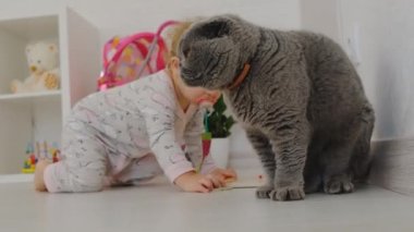 Bebek kediyle oynuyor. Seçici odak.