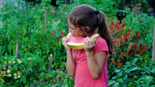 Kind isst Wassermelone im Sommer. Selektiver Fokus. — Stockvideo