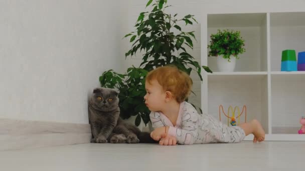 Bebek kediyle oynuyor. Seçici odak. — Stok video