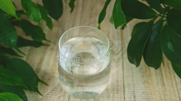 Vloeibare chlorofyl in een glas water. Selectieve focus. — Stockvideo