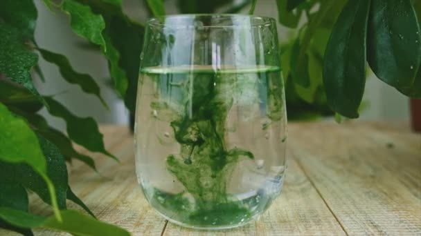 Clorofila líquida en un vaso de agua. Enfoque selectivo. — Vídeos de Stock