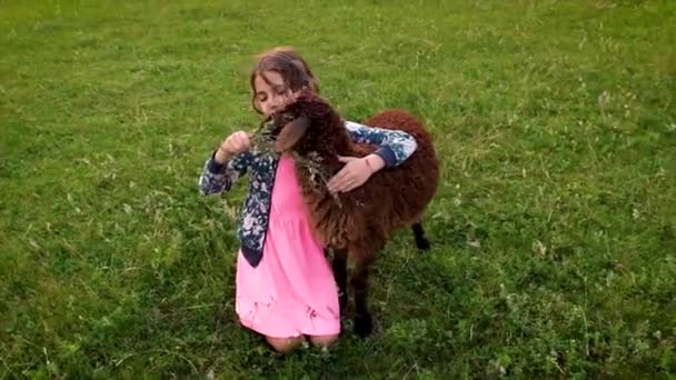 Una bambina nutre una pecora con l'erba. Focus selettivo. — Video Stock