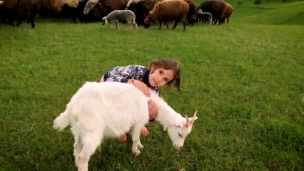 En liten flicka matar en get med gräs. Selektiv inriktning. — Stockvideo