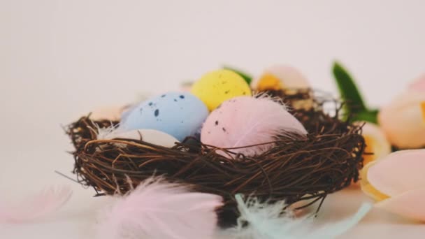 Beautiful Easter background with eggs. Selective focus. — Stock Video